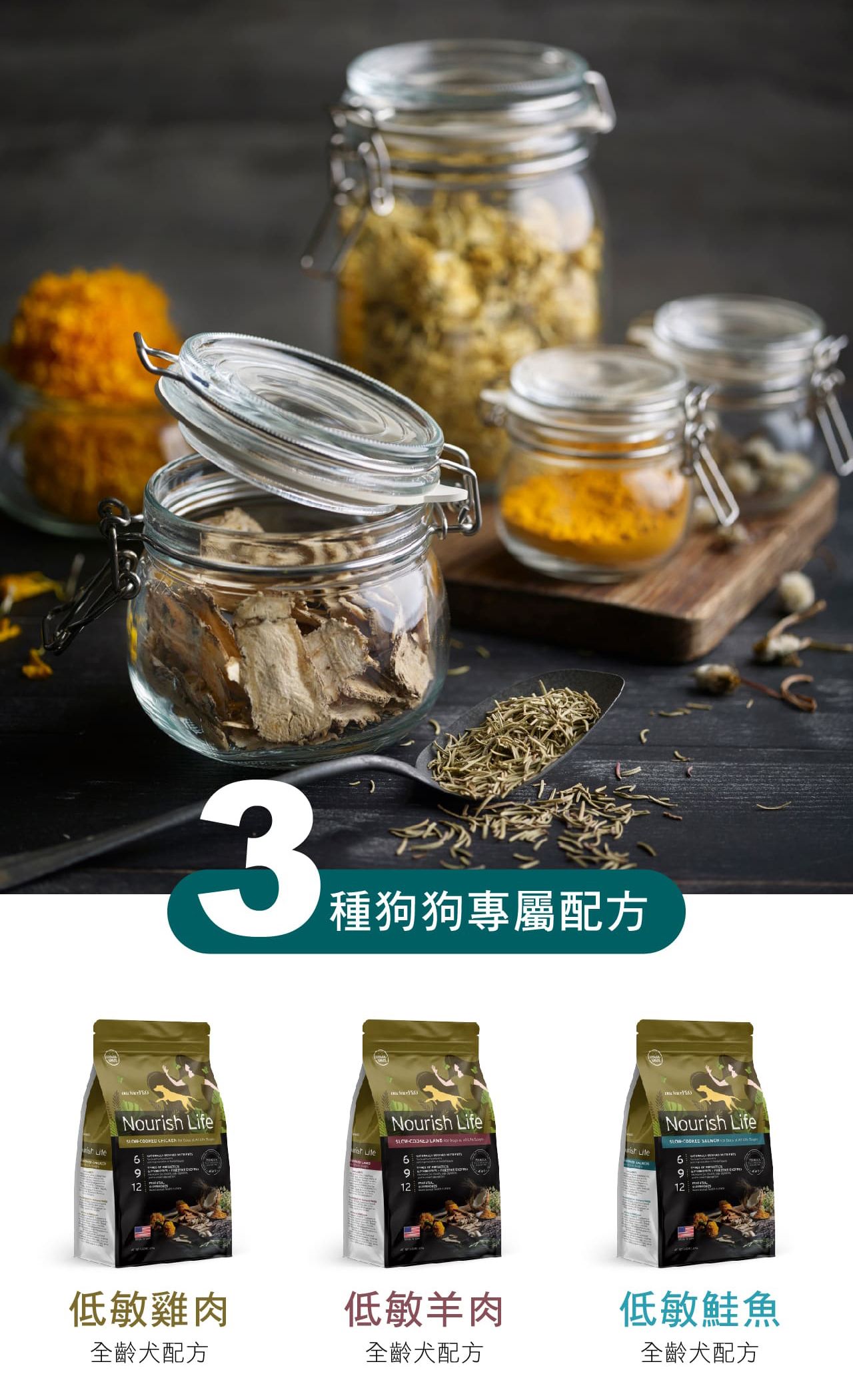 天密低穀狗-4.jpg