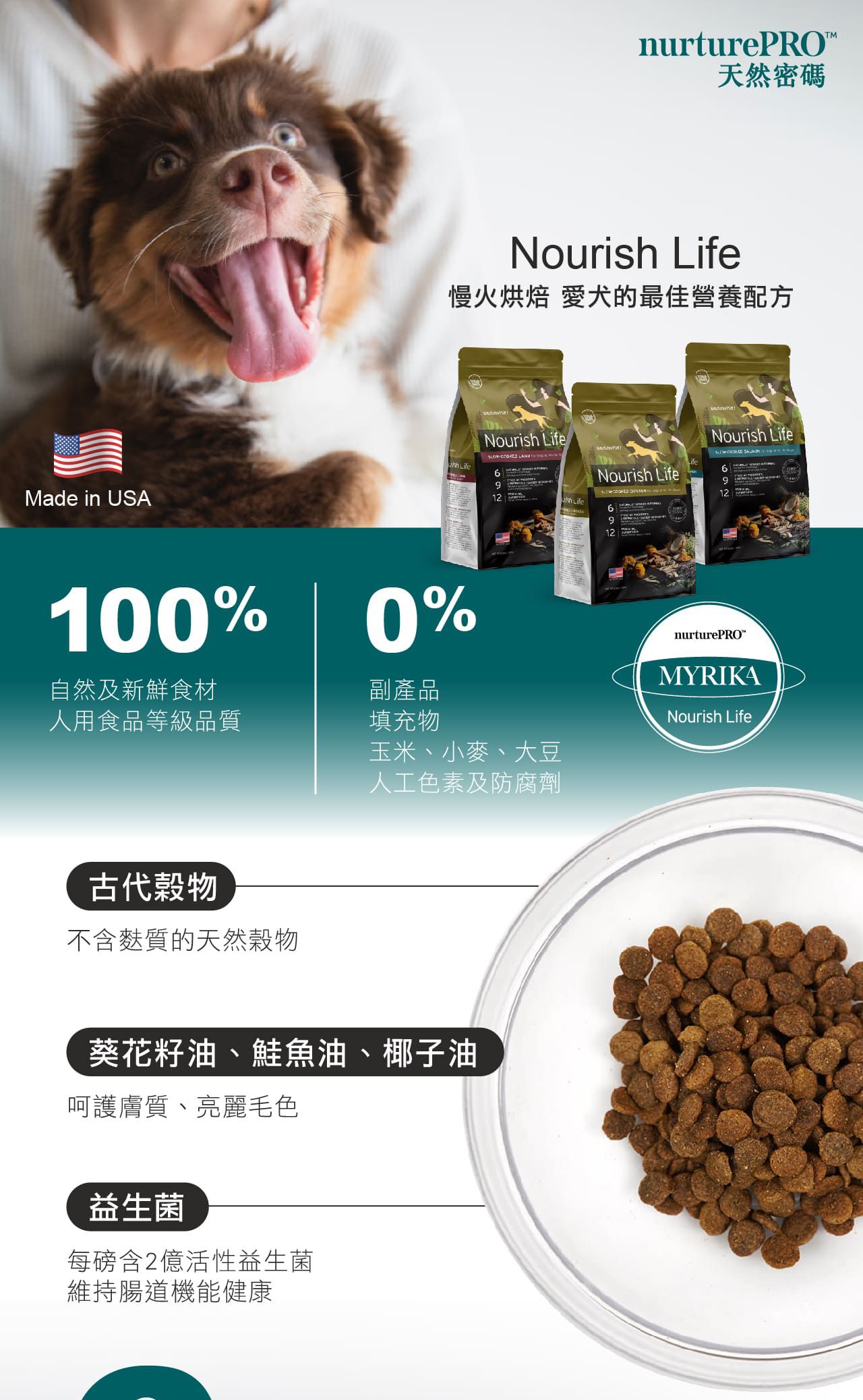 天密低穀狗-1.jpg