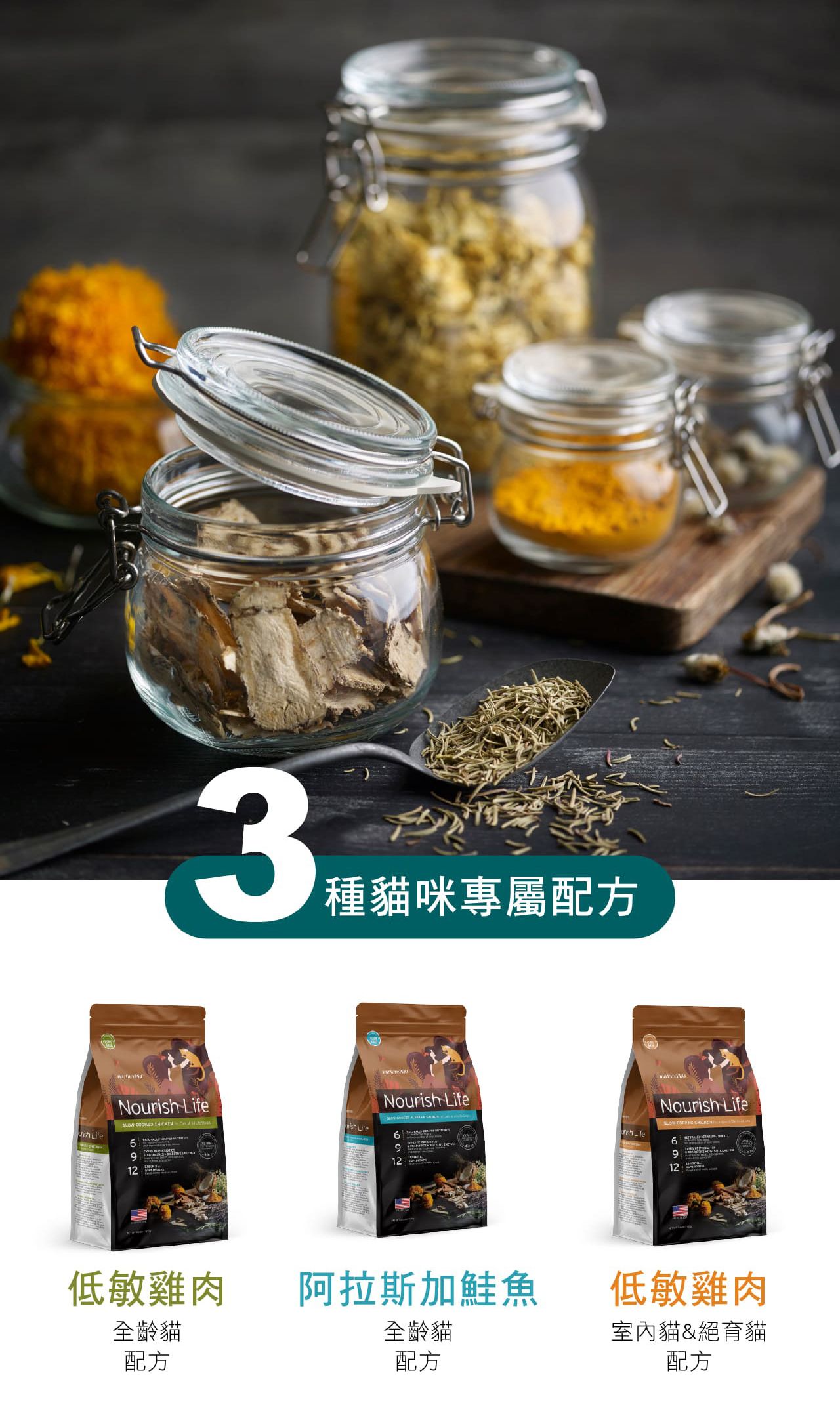 天密低穀貓-4.jpg