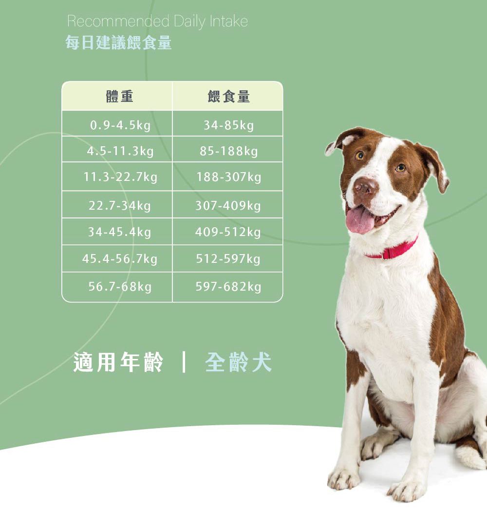 內文-5.jpg
