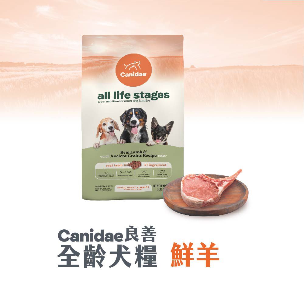 全齡犬 鮮羊-1.jpg