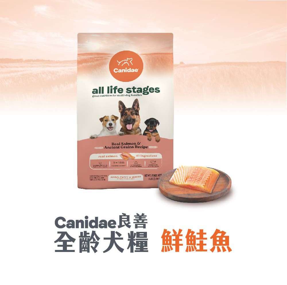 全齡犬 鮮鮭魚-1.jpg