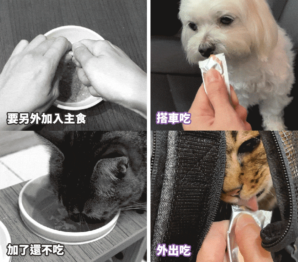 4.gif