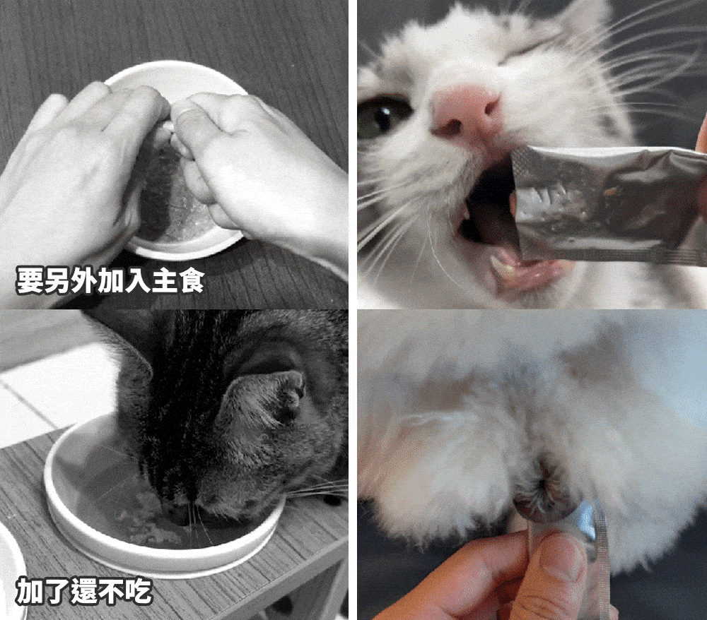 4.gif
