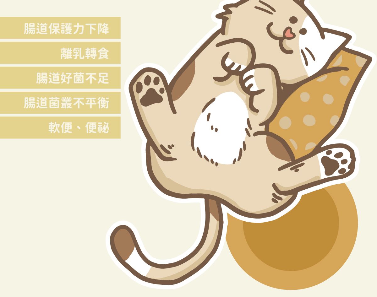益生菌_官網說明_11.jpg