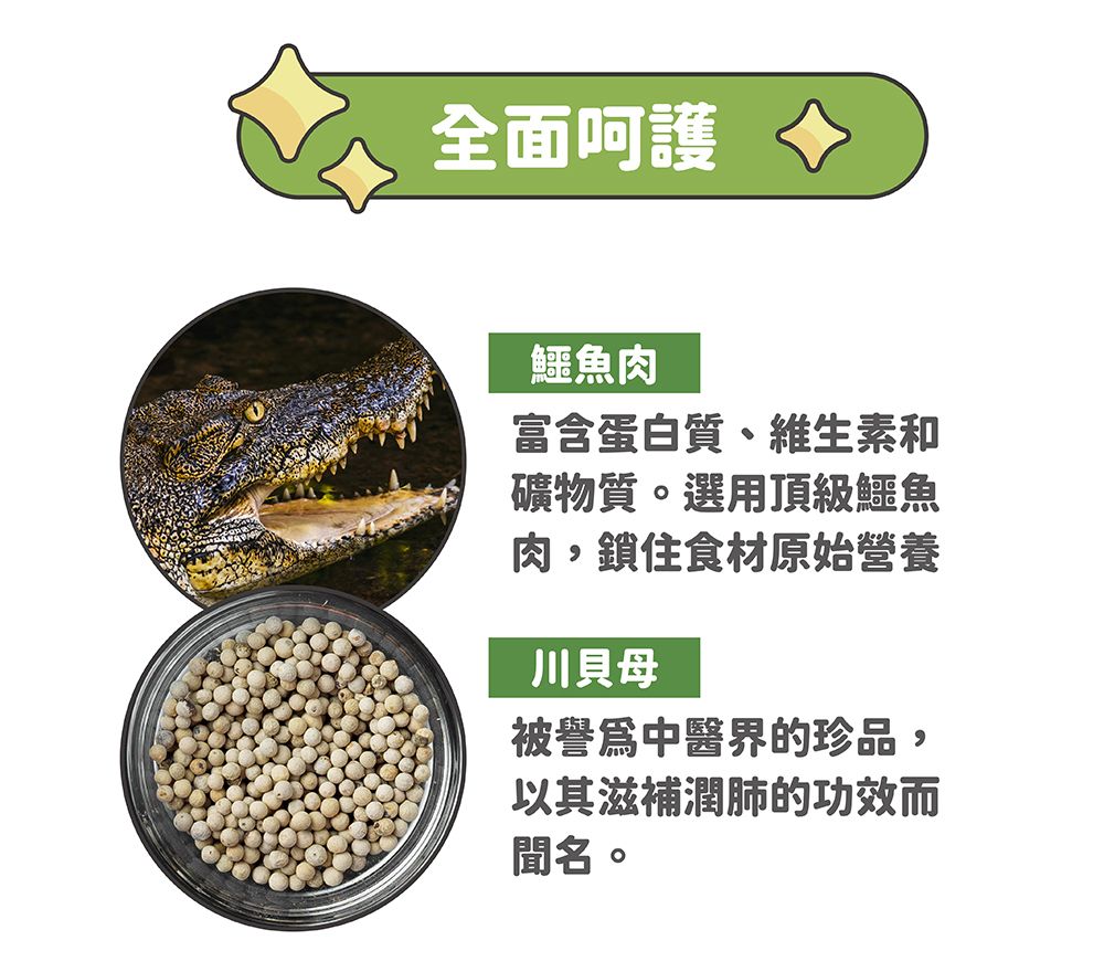 官網用_鱷魚機能粉_說明_2.jpg