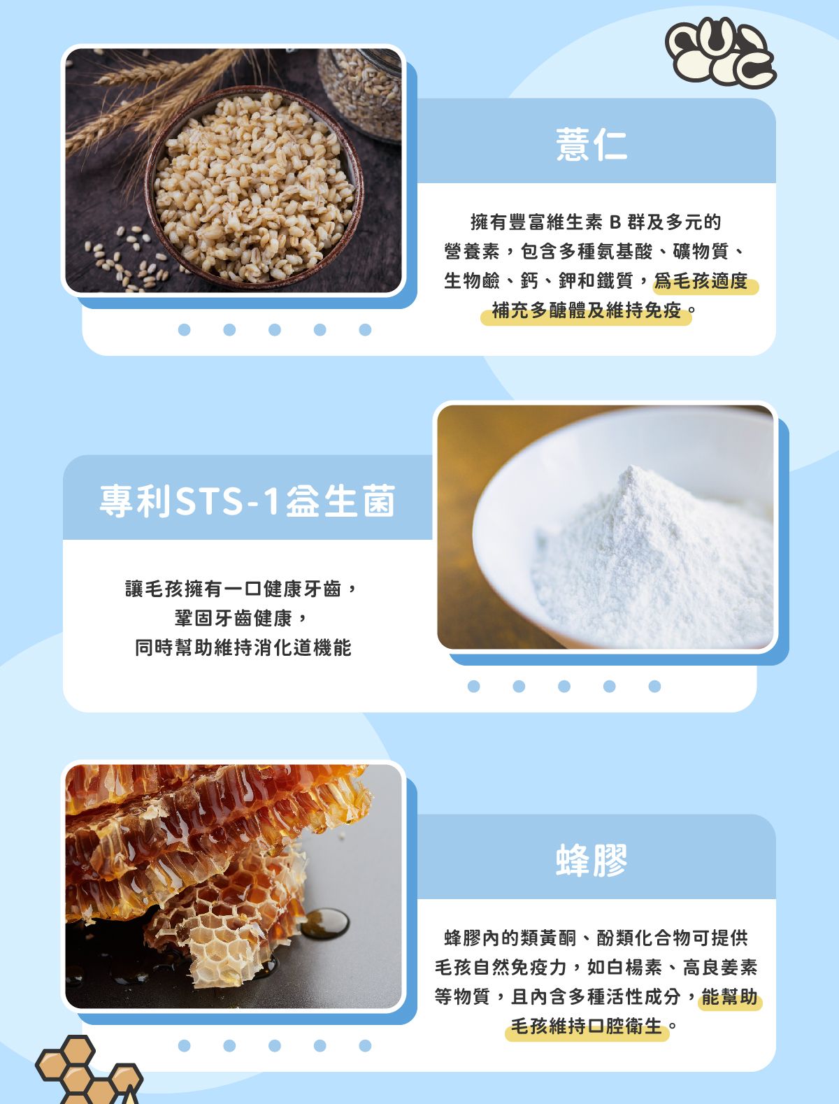 牙齦保健_04 .jpg