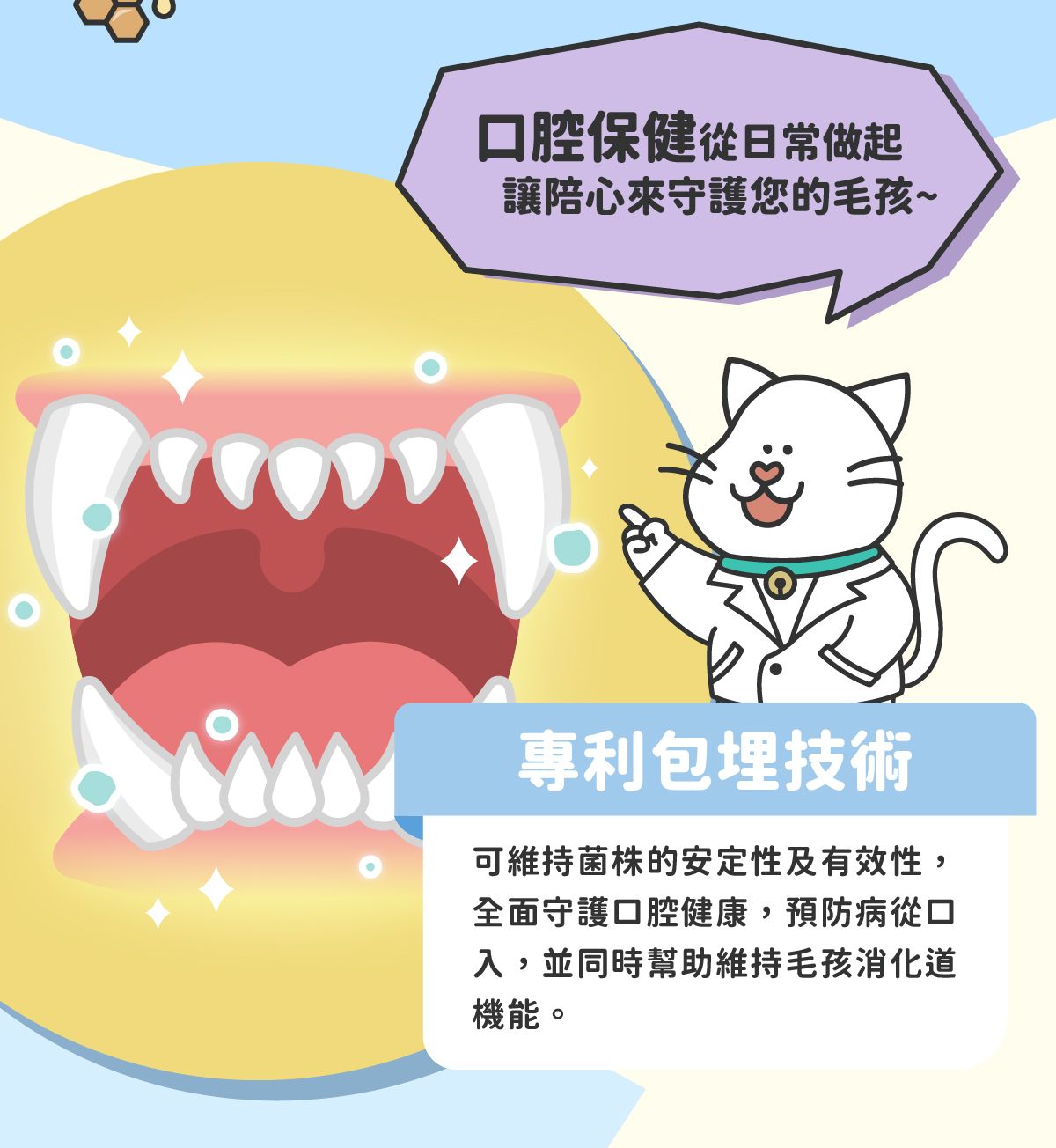 牙齦保健_05.jpg