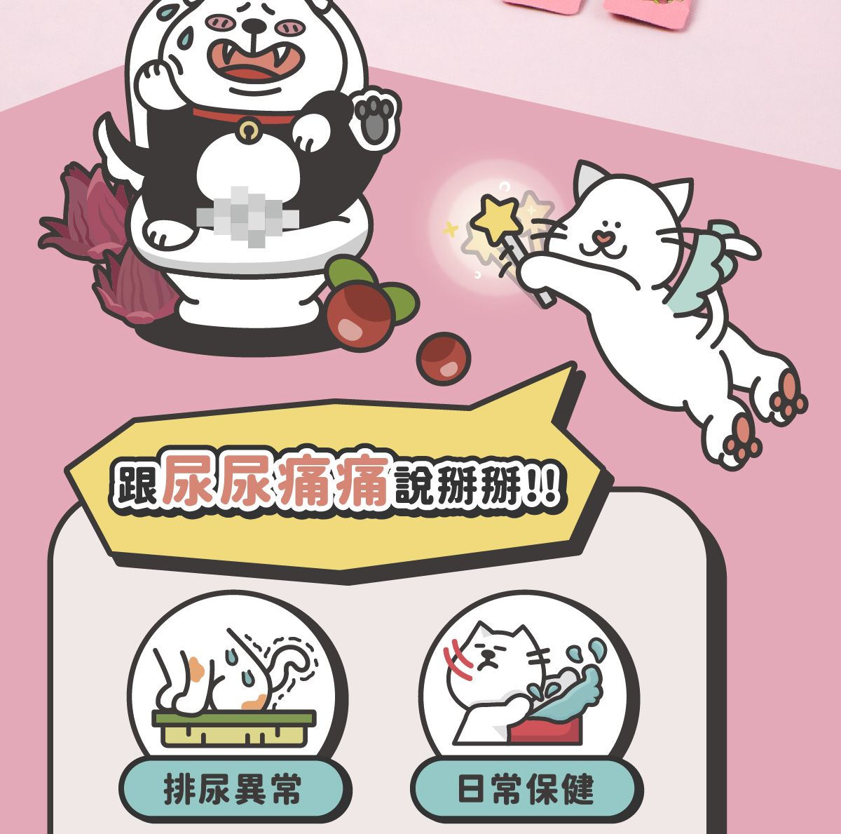 三莓官網圖_02.jpg