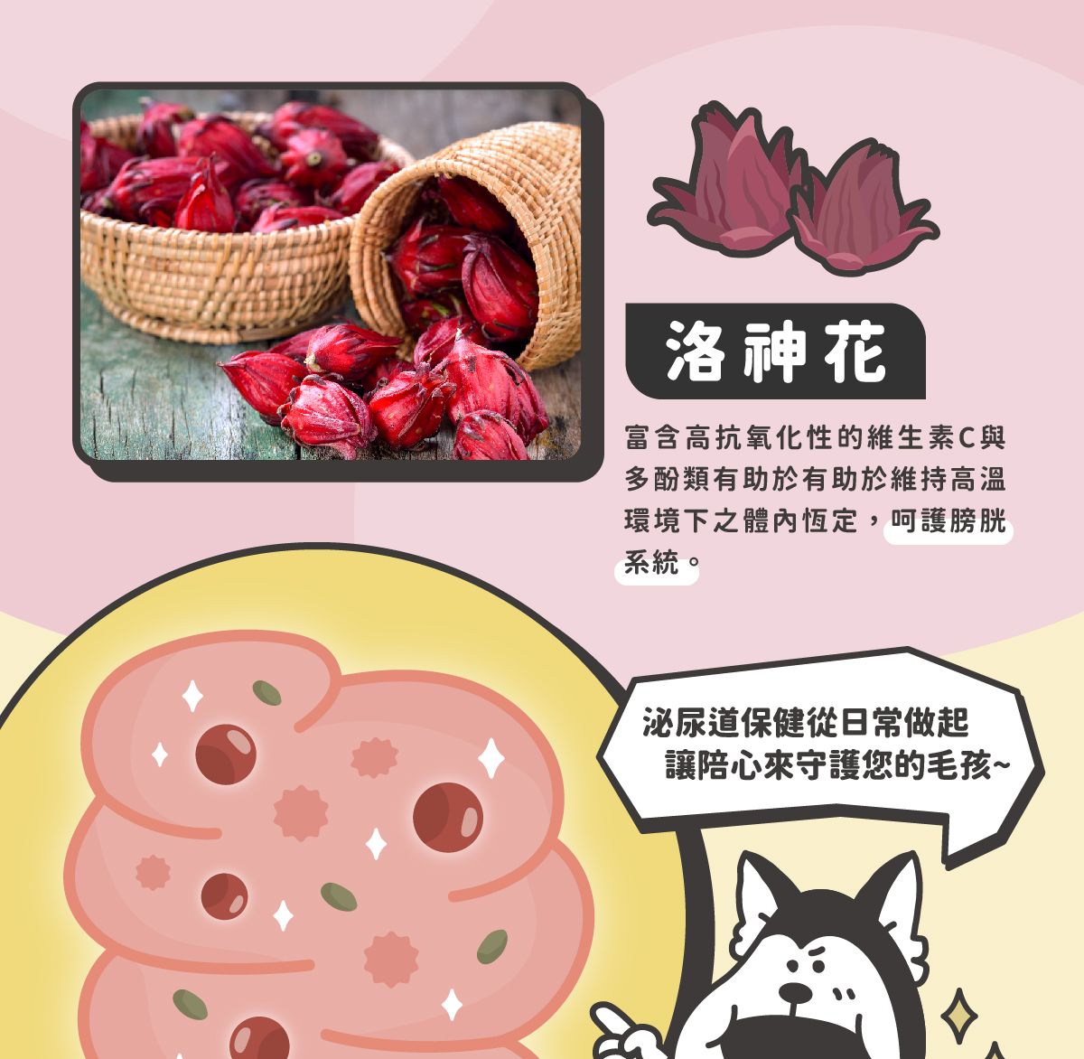 三莓官網圖_05.jpg
