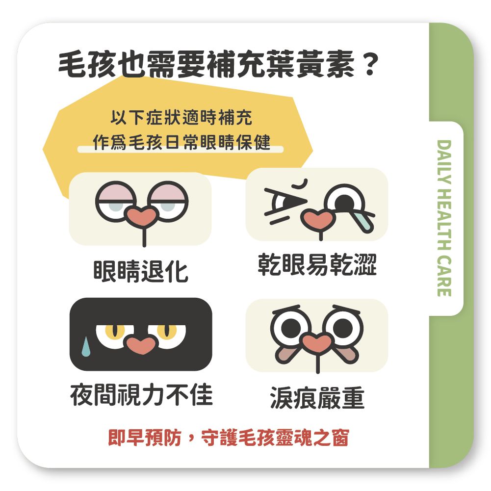 葉黃素官網圖_蝦皮_4.jpg
