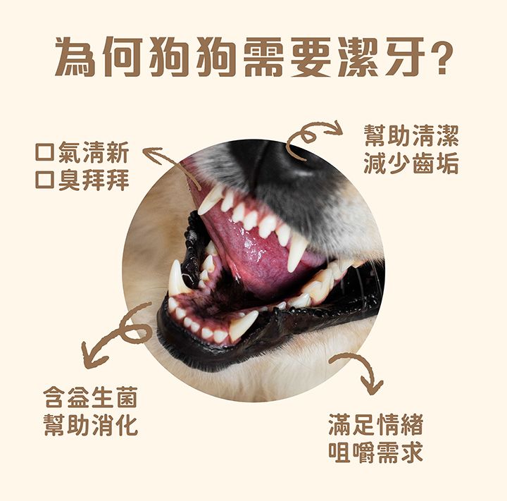 內文-1.jpg