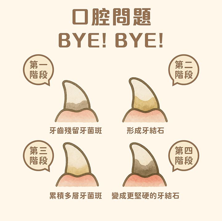 內文-2.jpg