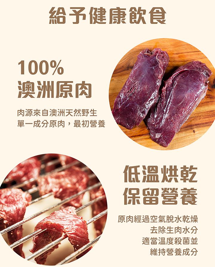 內文-9.jpg