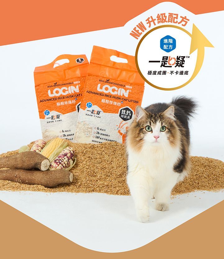 內文-1.jpg