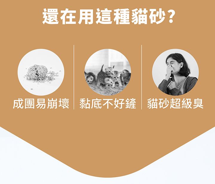 內文-2.jpg