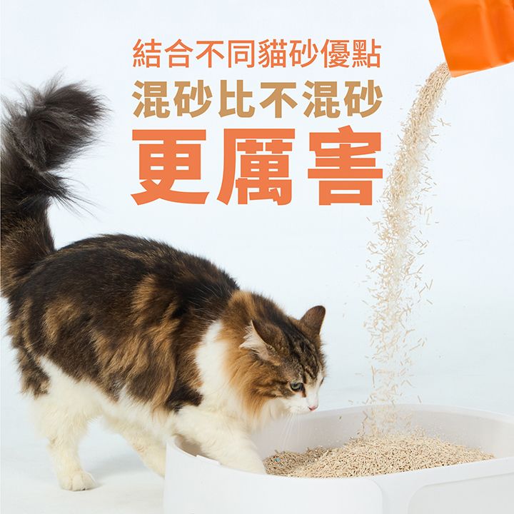內文-6.jpg
