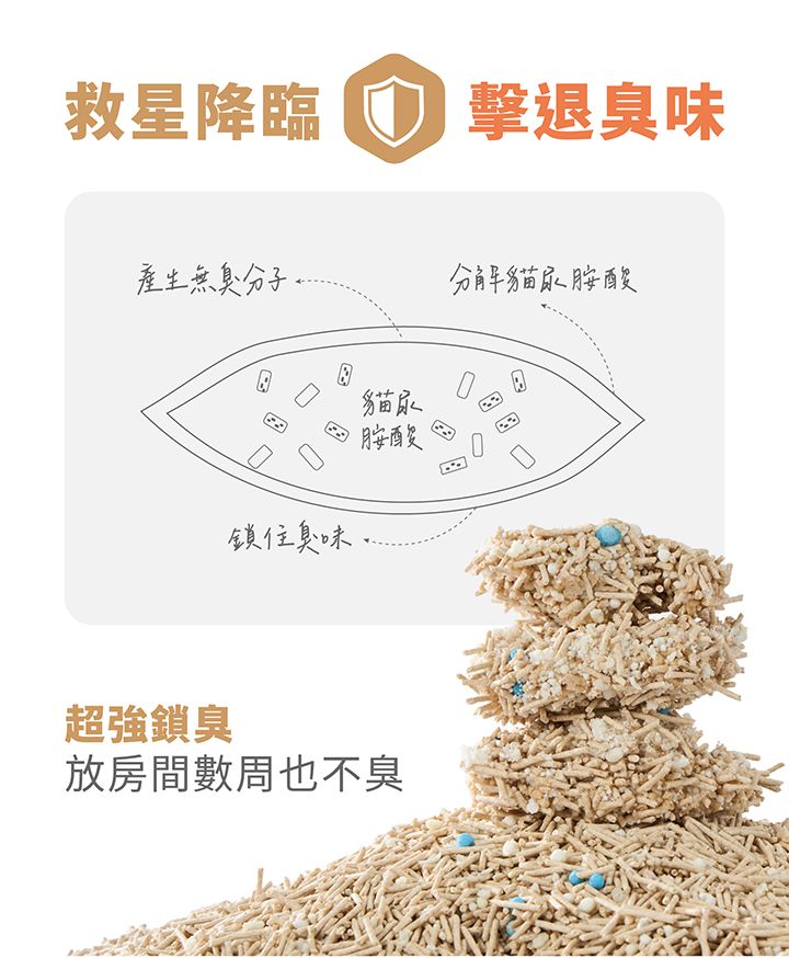 內文-14.jpg