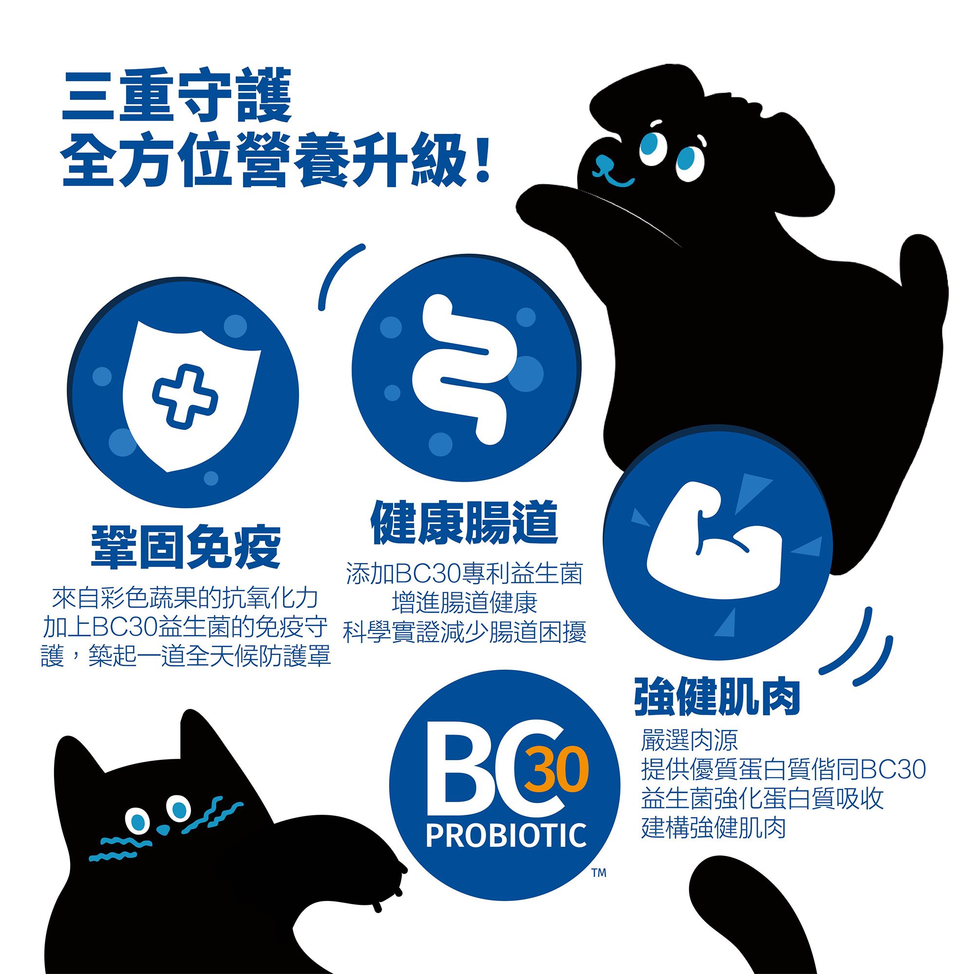 商品介紹圖文-多拼-4.jpg