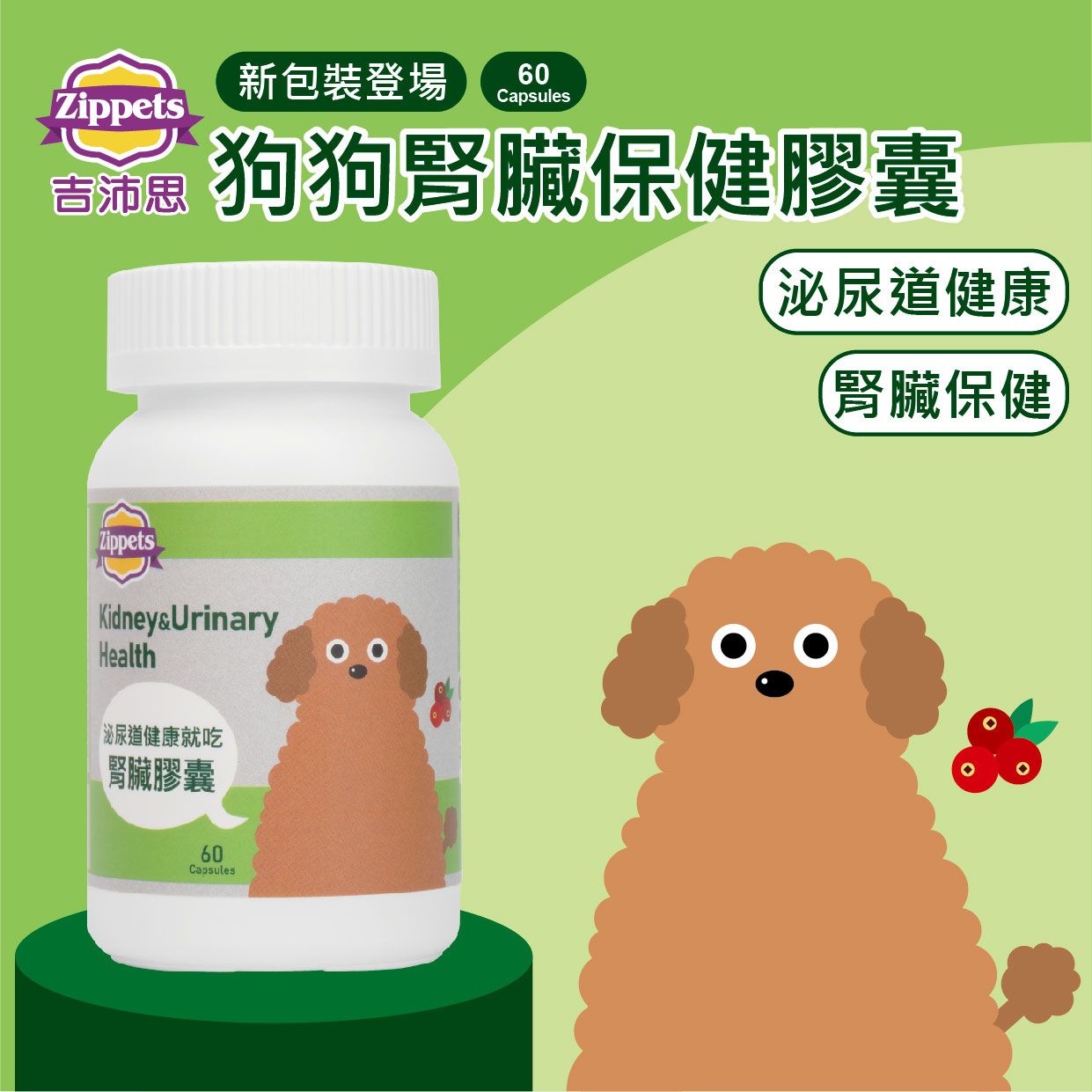 2025 EDM_狗狗腎臟_01.jpg