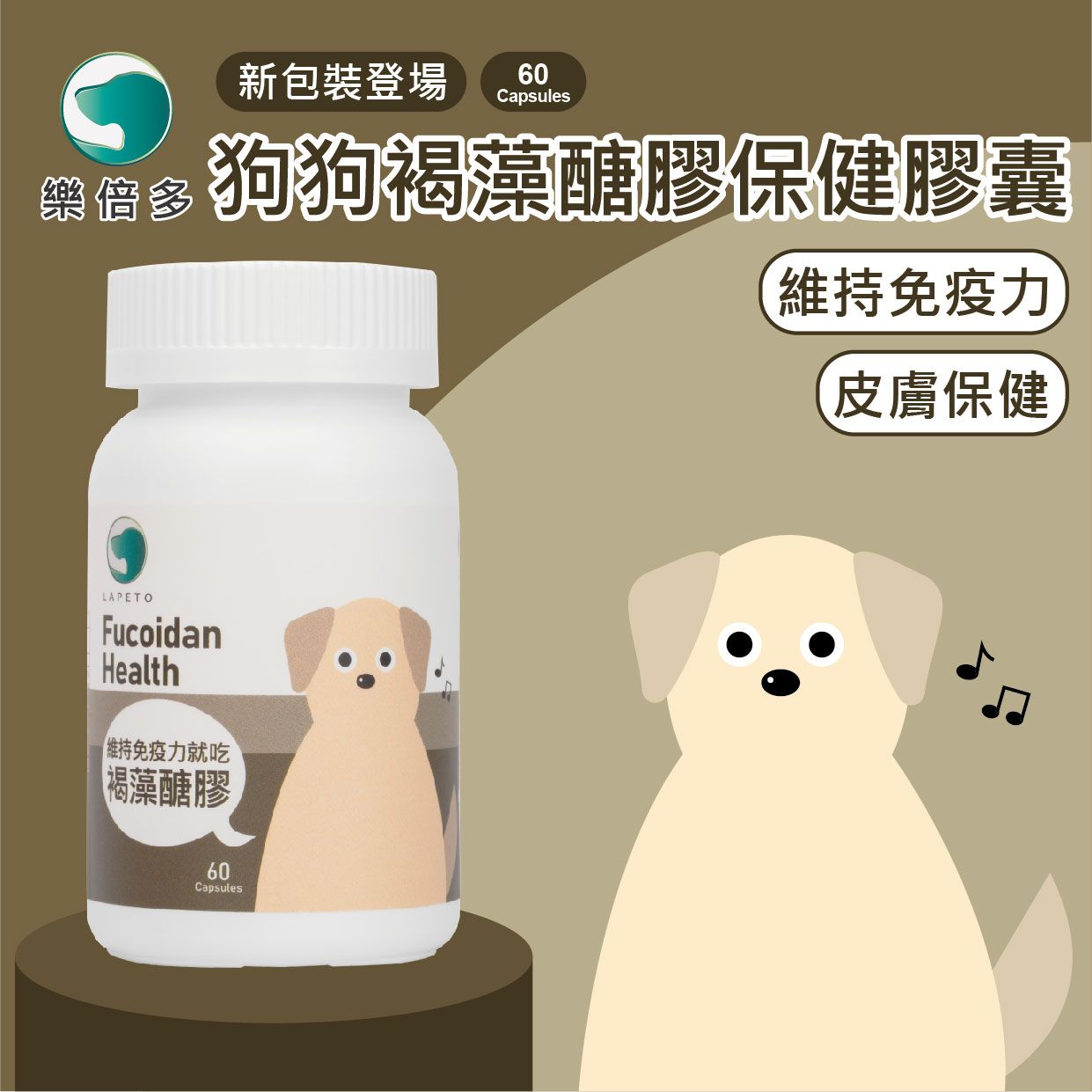 2025 EDM_狗狗褐藻_01.jpg