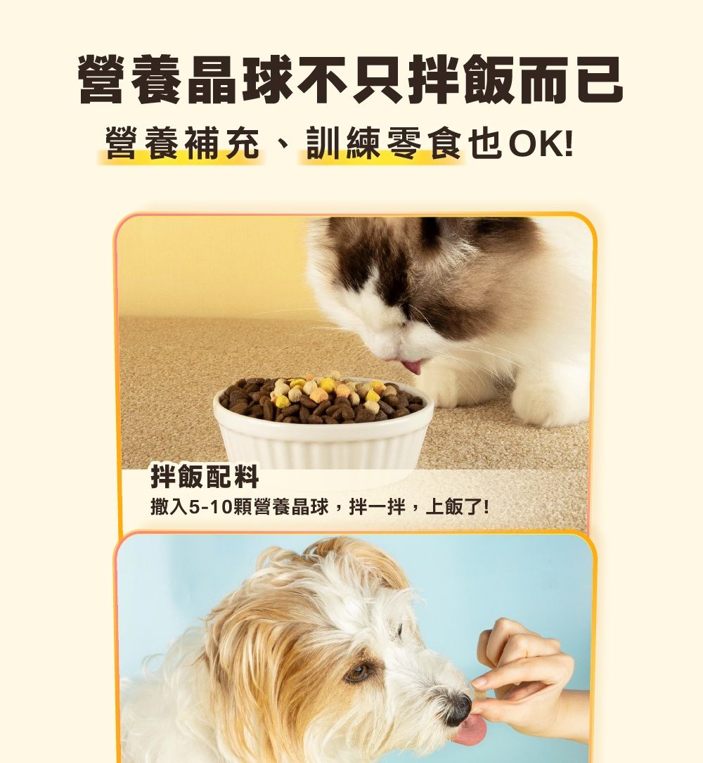 內文-6.jpg