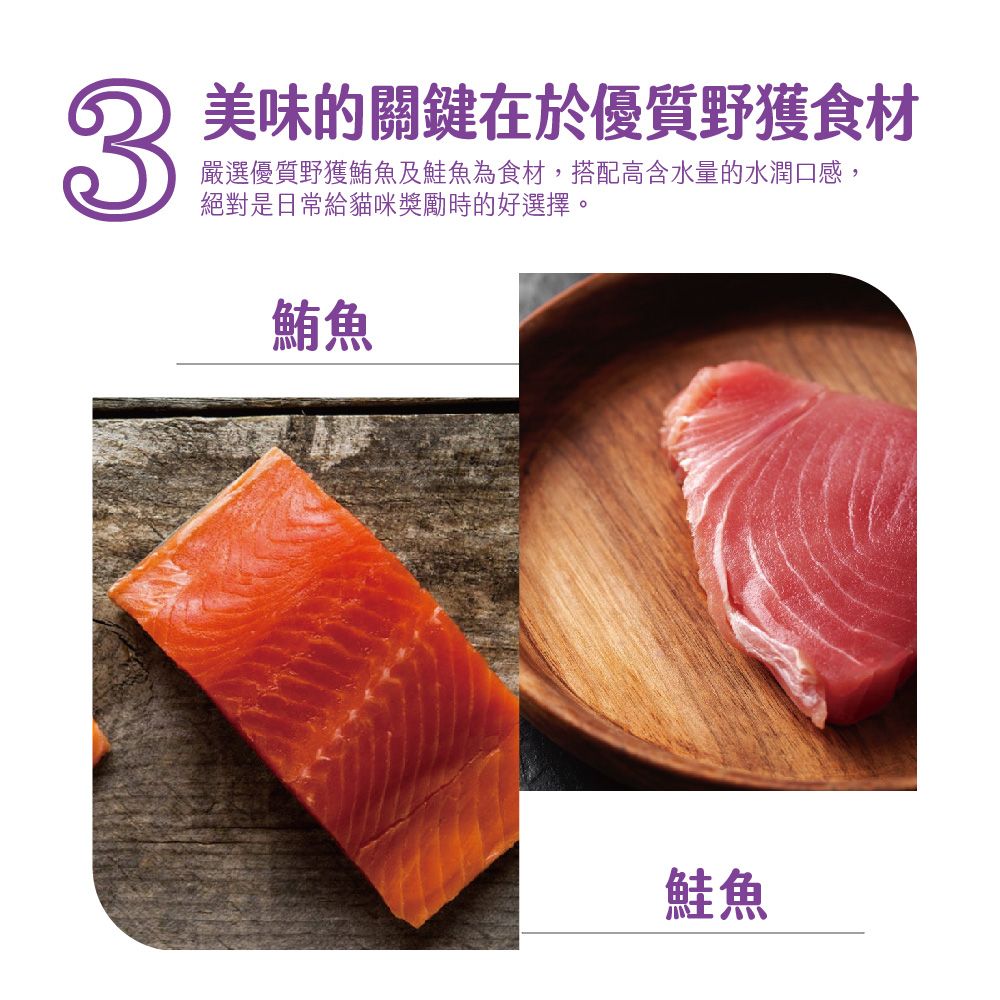 1000x1000_8.jpg